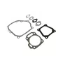 Kit/Jogo de Juntas para Motores 5.5Hp Buffalo Original