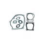 Kit/Jogo de Juntas Vedação para Motor 6.5Hp Buffalo Original
