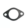 Junta Coletor Escape para Motor BFDE 22CVa45CV Buffalo