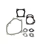 Kit/Jogo de Juntas para Motor Gasolina BFG 7.0cv Buffalo