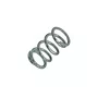 Mola Parafuso Mistura para Motor BFGE 23.0/35.0 PRO Buffalo