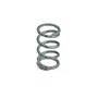 Mola Parafuso Mistura para Motor BFGE 23.0/35.0 PRO Buffalo