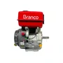 Motor A Gasolina B4T-13.0H Part. Manual 13CV Branco Original