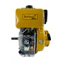 Motor Diesel 4T BFD 10.0 CV Partida Manual Buffalo Original