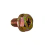 Parafuso M6X1X8mm ZN AM  00530