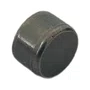 Pastilha Válvula para Motor Branco B4T 13.0/15.0HP Original