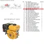 Prisioneiro M8X1.25X34 ZN/BR Motor 6.5/7.0HP Buffalo Original