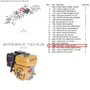 Prisioneiro M8X1.25X34 ZN/BR Motor 6.5/7.0HP Buffalo Original