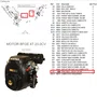 Prisioneiro M8X1.25X34 ZN/BR Motor 6.5/7.0HP Buffalo Original