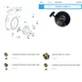 Retrátil Completo Para Motor BFG 4.0hp Buffalo 14045