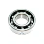 Rolamento 6205 para Motores BFG(E) 6.5cv - Buffalo Original